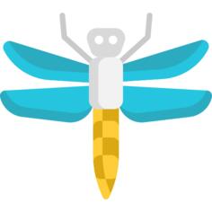 Dragon fly