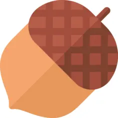 橡子