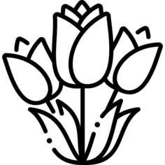 郁金香