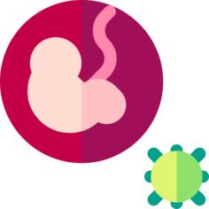 Pregnancy