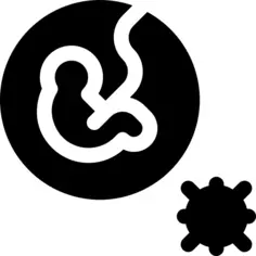 Pregnancy