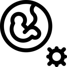 Pregnancy