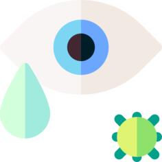 Eye