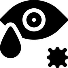 Eye
