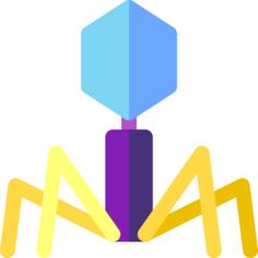 Virus