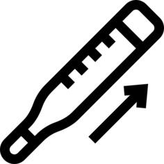 Fever