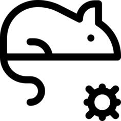Rat