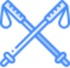 Ski
