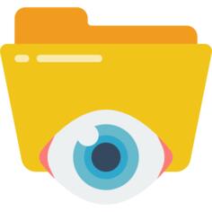 Eye