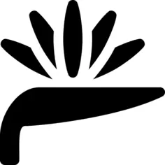 Bird of paradise