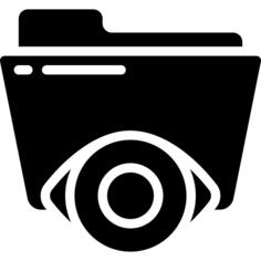 Eye