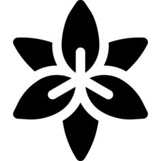 Amaryllis