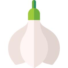 Snowdrop