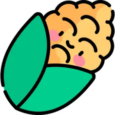 玉米