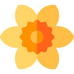 水仙花