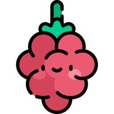 覆盆子