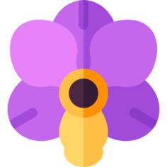 Orchid