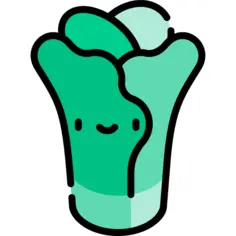 Lettuce