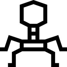 病毒