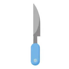 Knife