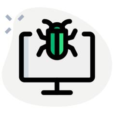 Computer bug