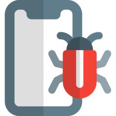 Software development