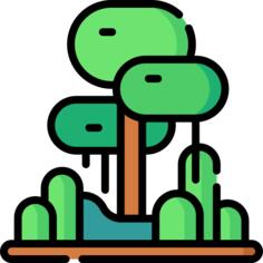 Rainforest