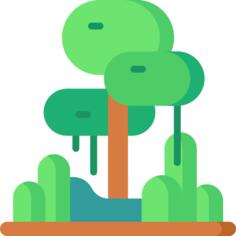 Rainforest