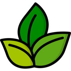 Eco friendly fabric