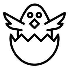 小鸡
