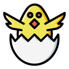 小鸡
