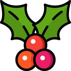 Holly