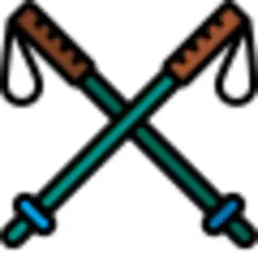 Ski