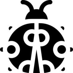 Ladybug