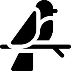 鸟