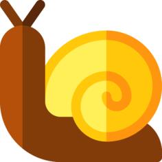 Snail