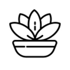 莲花