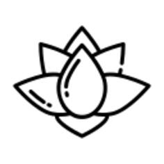 莲花