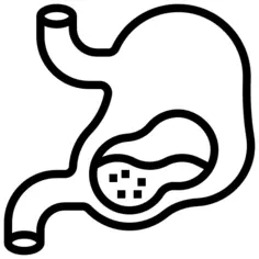 胃