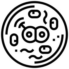 细胞