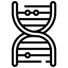 Dna structure