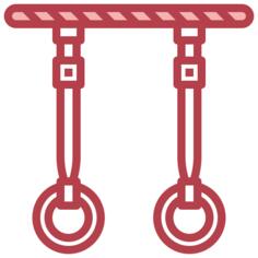 Gymnastic