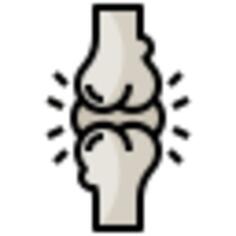 Joint
