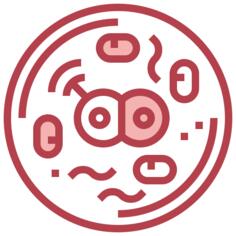 细胞