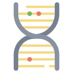 Dna structure