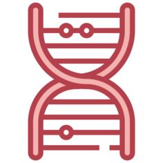 Dna structure