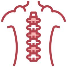 Spinal column