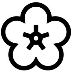 开花