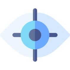 Vision