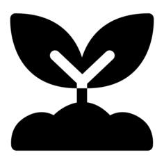 Sprout